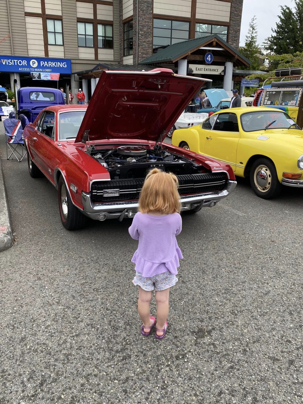 Cruise the Narrows Classic Car Show Visit Gig Harbor, Washington